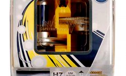 sapien non nisl efficitur, nec.